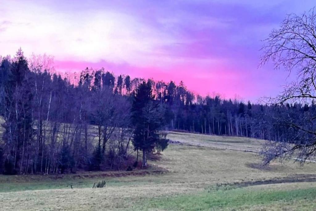 Gite De La Ravanne Ramonchamp Dış mekan fotoğraf